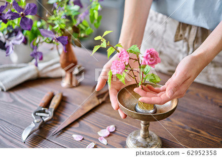 A young woman florist create flower arrangement Ikebana in kenzan. Uses scissors and pruner. Seasonal summer garden flowers. A young woman florist create flower arrangement Ikebana in kenzan. Uses scissors and pruner. Seasonal summer garden flowers. 62952358