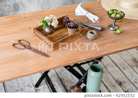 Set of gardener transplanting bulbous plants, hyacinths in cement pots on the wooden table. Concept of home garden. Flower and garden shop. Set of gardener transplanting bulbous plants, hyacinths in cement pots on the wooden table. Concept of home garden. Flower and garden shop. 62952552