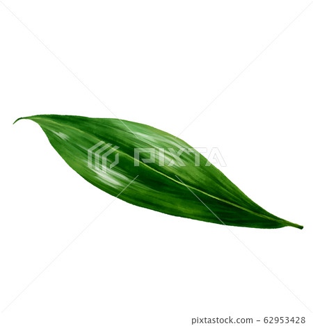 葉哈蘭水彩 葉哈蘭水彩 62953428
