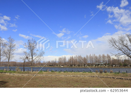 東京葛飾區水本公園 東京葛飾區水本公園 62953644