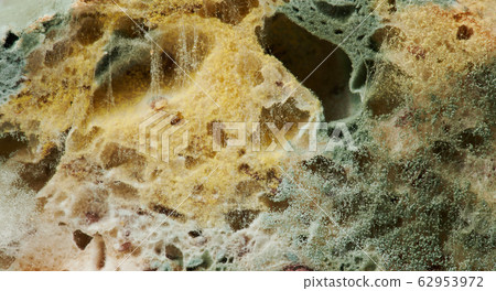 Green and yellow mould on bread Green and yellow mould on bread 62953972