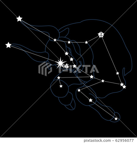constellation2- Taurus 62956077