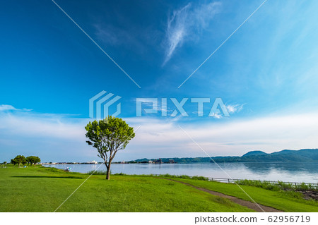 Togo Pond Shiba Blue Sky 62956719