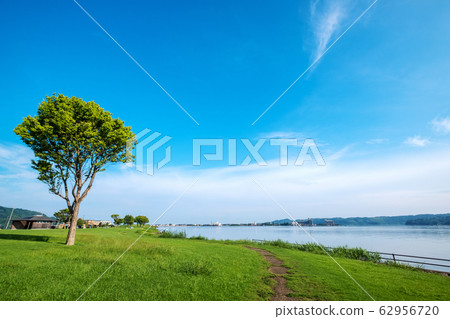 Togo Pond Shiba Blue Sky 62956720