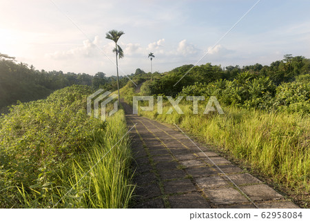Road path on Campuhan Ridge Walk, Ubud Road path on Campuhan Ridge Walk, Ubud 62958084