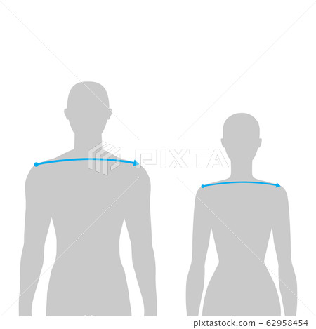 Women and men measurements fashion. 62958454