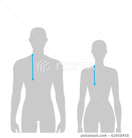 Women and men measurements fashion. Women and men measurements fashion. 62958458