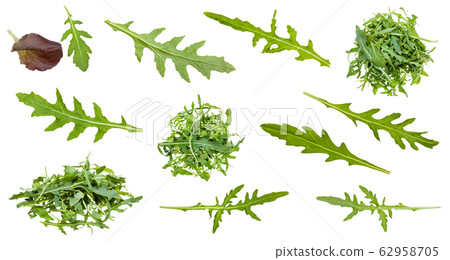 set of Arugula (rocket, eruca) leaves isolated 62958705