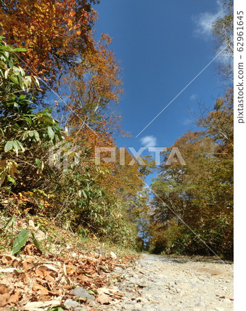 秋葉和道路 62961645