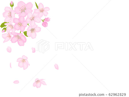  櫻桃背景背景例證 62962829