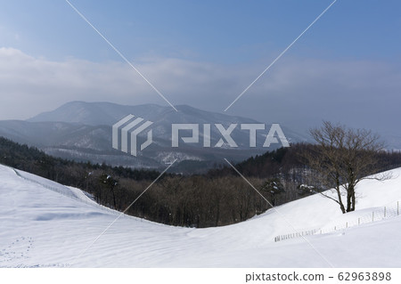 綿羊牧場，Daegwallyeong，平昌郡，江原道 62963898