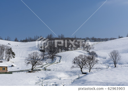 綿羊牧場，Daegwallyeong，平昌郡，江原道 62963903