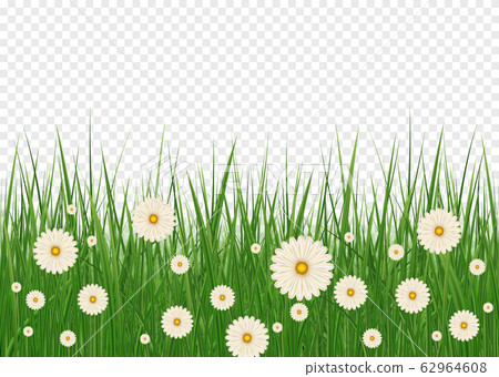Green Grass with flowers Green Grass with flowers 62964608
