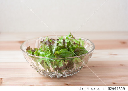 Lettuce in salad bowl Lettuce in salad bowl 62964839