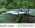 《Oirase Stream》 Towada City, Aomori Prefecture 62965059