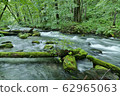 《Oirase Stream》 Towada City, Aomori Prefecture 62965063