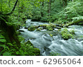 《Oirase Stream》 Towada City, Aomori Prefecture 62965064
