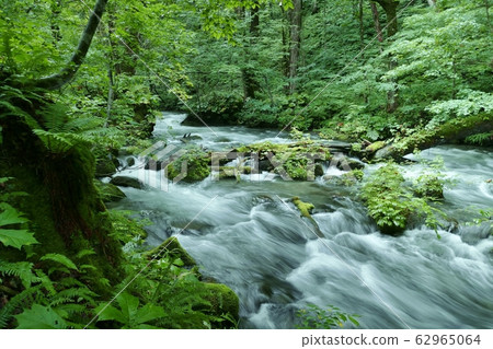 《Oirase Stream》 Towada City, Aomori Prefecture 《Oirase Stream》 Towada City, Aomori Prefecture 62965064