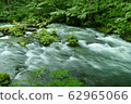 《Oirase Stream》 Towada City, Aomori Prefecture 62965066