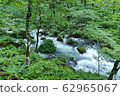 《Oirase Stream》 Towada City, Aomori Prefecture 62965067