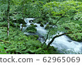 《Oirase Stream》 Towada City, Aomori Prefecture 62965069