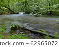《Oirase Stream》 Towada City, Aomori Prefecture 62965072