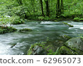 《Oirase Stream》 Towada City, Aomori Prefecture 62965073