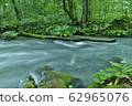 《Oirase Stream》 Towada City, Aomori Prefecture 62965076
