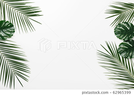 Creative Tropical frame of palm and Monstera leaves on white Creative Tropical frame of palm and Monstera leaves on white 62965399