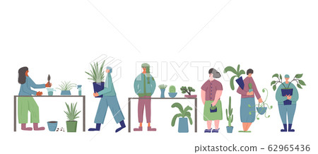 House plant lover concept Hand drawn vector flower House plant lover concept Hand drawn vector flower 62965436