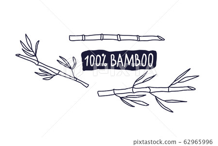 100 persent eco bamboo emblem. Vector design. 100 persent eco bamboo emblem. Vector design. 62965996