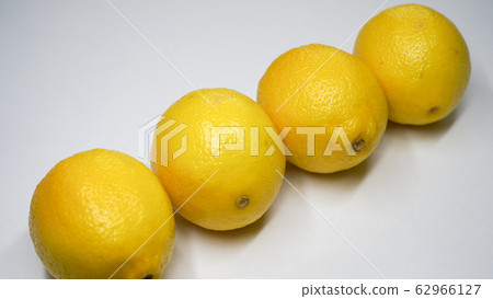 檸檬 62966127