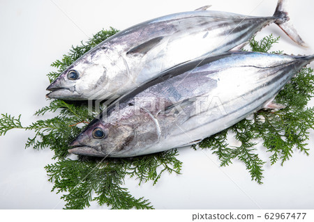 Bonito Bonito 62967477