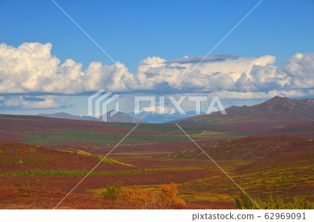 德納利國家公園和自然保護區 62969091