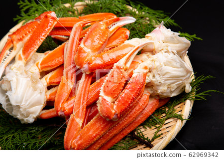 Snow crab foot food 62969342