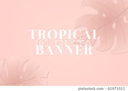Monstera leaf in the corner of pink backdrop. 62971011