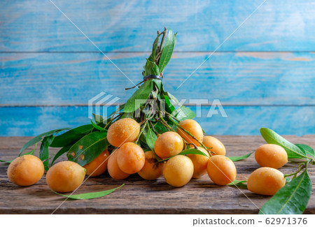 Close up Mayongchid Maprang Marian Plum or Plum 62971376