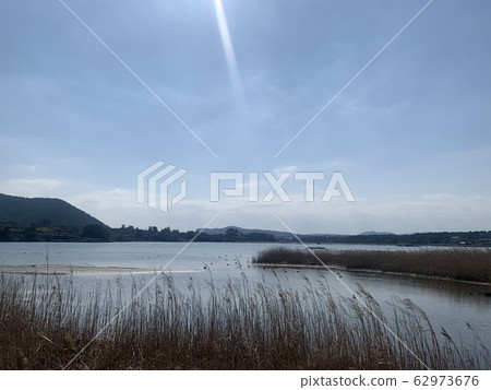 陽光和大海 62973676