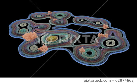 Malignant (Cancerous) Nodules On Cell Organelles 62974662