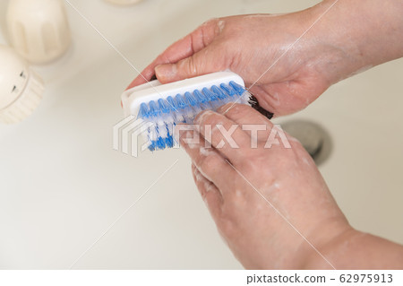 [Pawl brush hand wash] 62975913