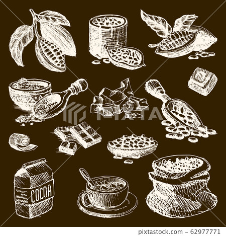Cocoa vector products handdrawn sketch doodle style coffee beans products food chocolate sweet cacao illustration. Vintage style plant natural bean organic cacao ingredients 62977771