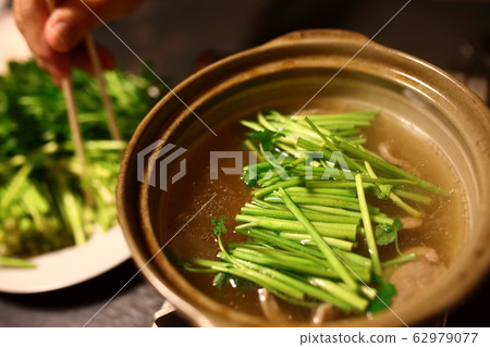 塞雷納貝 62979077