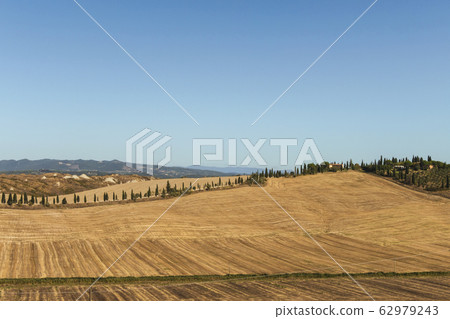Typical landscapes for Siena Province in Tuscany 62979243