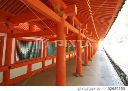 Kasuga Taisha 62980660