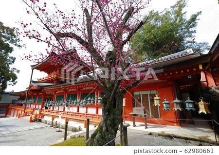 Kasuga Taisha 62980661