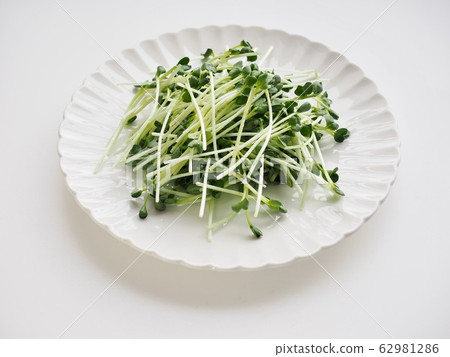 新鮮有機蔬菜 62981286