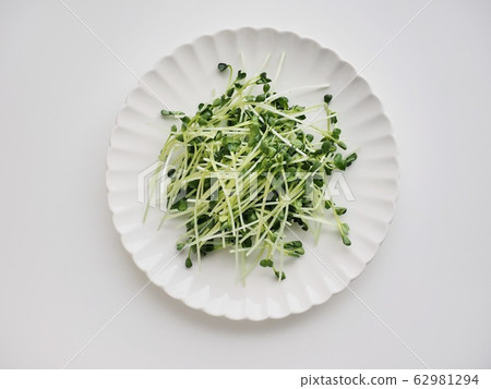 新鮮有機蔬菜 62981294