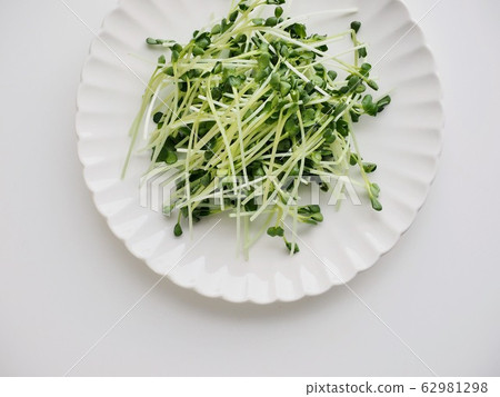 新鮮有機蔬菜 62981298