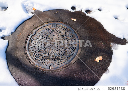 Snow frost snow country fallen leaves clear sky blue sky 62981388