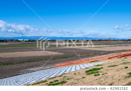 崎玉縣荒尾市秩父市荒川大堤的田園風光 62981582